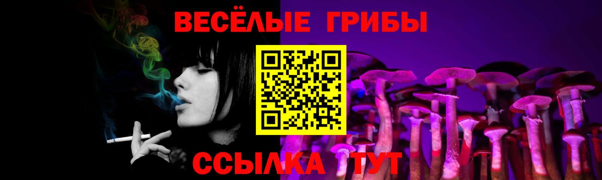 Жигулёвск  Псилоцибиновые грибы GOLDEN TEACHER  Вход с VPN 